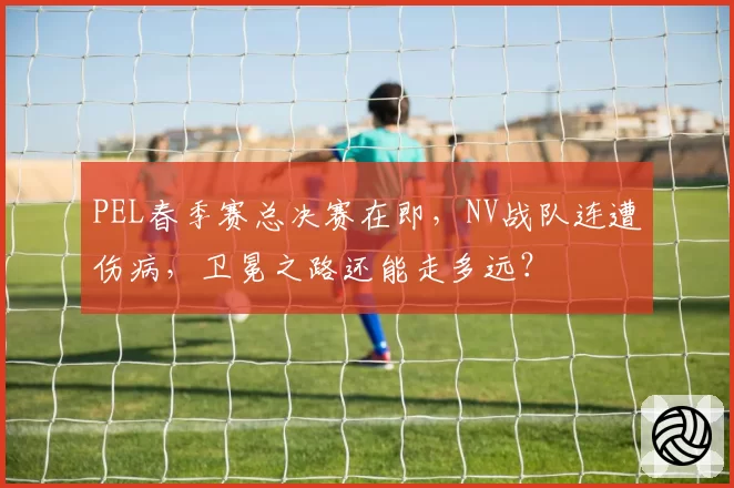 PEL春季赛总决赛在即，NV战队连遭伤病，卫冕之路还能走多远？